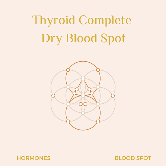 ZRT Labratory Thyroid Complete Dry Blood Spot Profile